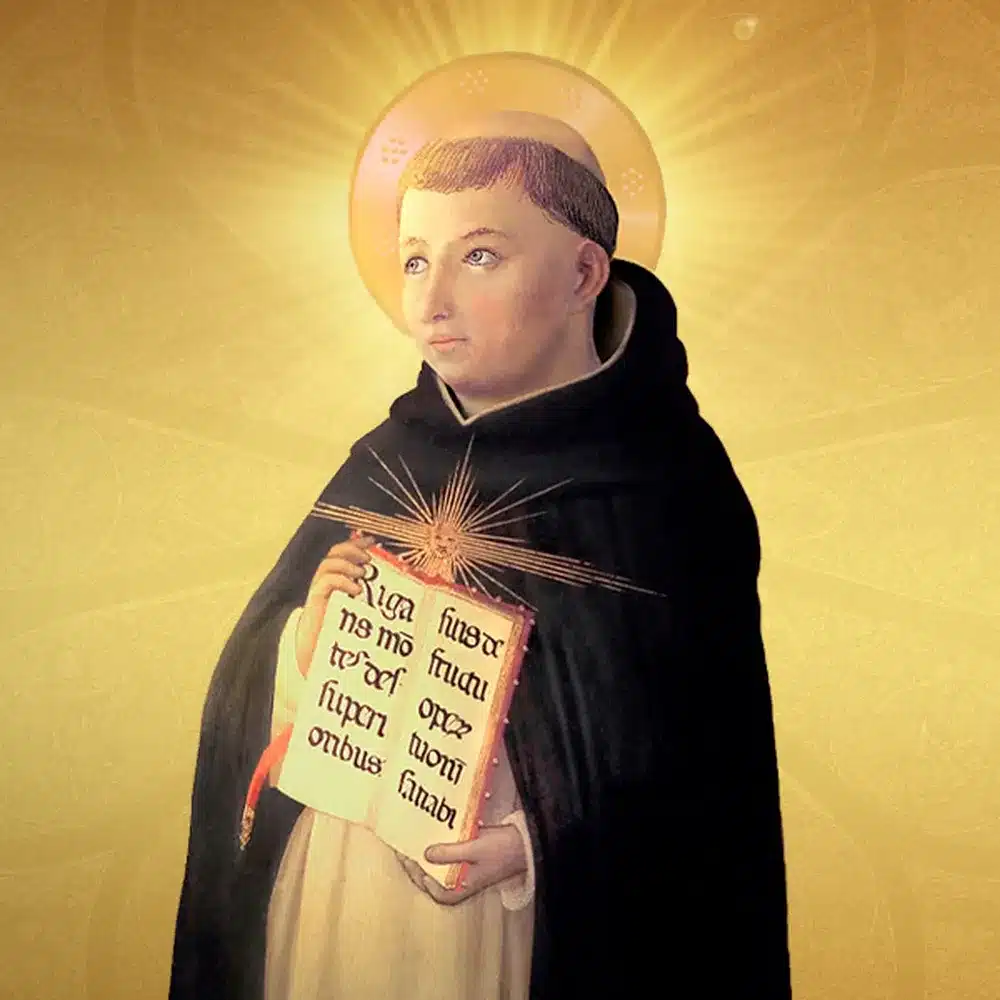 08 - acf17344-f54c-4e1f-ad6e-496b373e1c74_medium